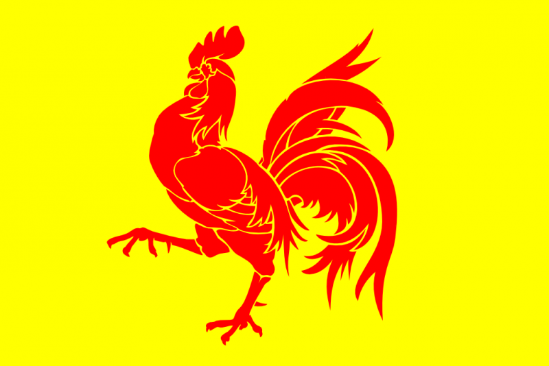 Fichier:Drapeau Wallonie.png