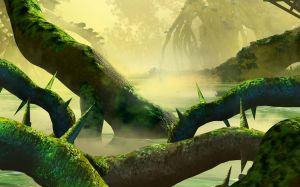B.com Région Jungle Okoto.jpg