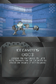 L'introduction de Ice Caverns