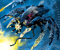Crabe Araignée