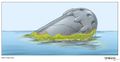 Concept art d'un Canister Toa flottant