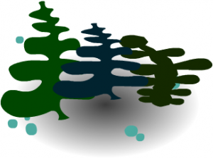 CTHa Seaweed.PNG