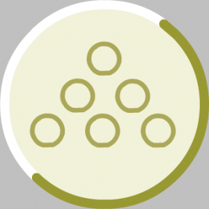 Prosperity Charm.png