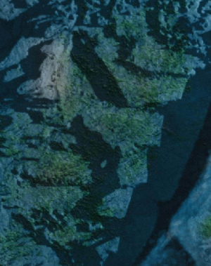 Fields of Air.png